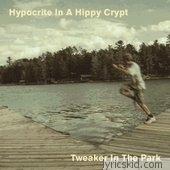 Hypocrite In A Hippy Crypt Lyrics
