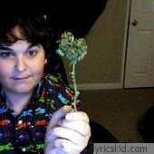 Andy Milonakis Lyrics