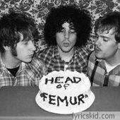 Head Of Femur Lyrics