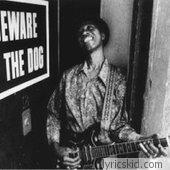 Hound Dog Taylor Lyrics