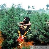 Peter Tosh Lyrics