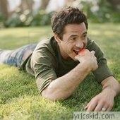 Robert Downey Jr. Lyrics