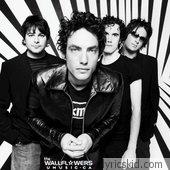 Wallflowers Lyrics